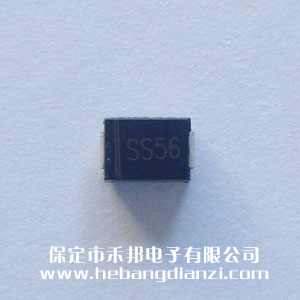 &#21315;&#20159;&#20307;&#32946;&#30331;&#24405;&#32593;&#31449;&#65288;&#20013;&#22269;&#65289;&#38598;&#22242;&#26377;&#38480;&#20844;&#21496;